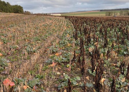 [La minute régénératrice] #16