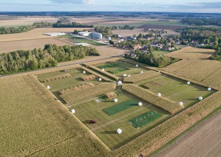 [Communiqué de Presse] SOUFFLET SEEDS CÉLÈBRE SES 10 ANS